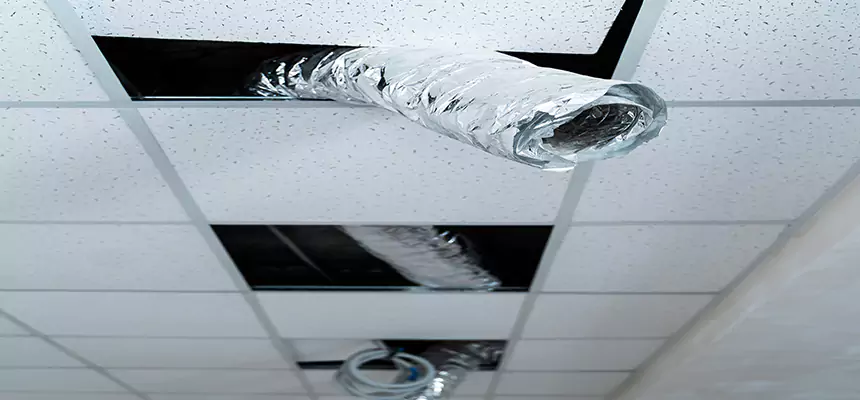 Our Air Duct Pet Hair Removal Services in Fountain Valley, CA