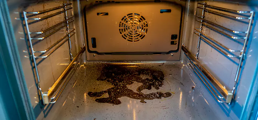 Our Dryer Vent Mold Cleaning Services in Fountain Valley, CA