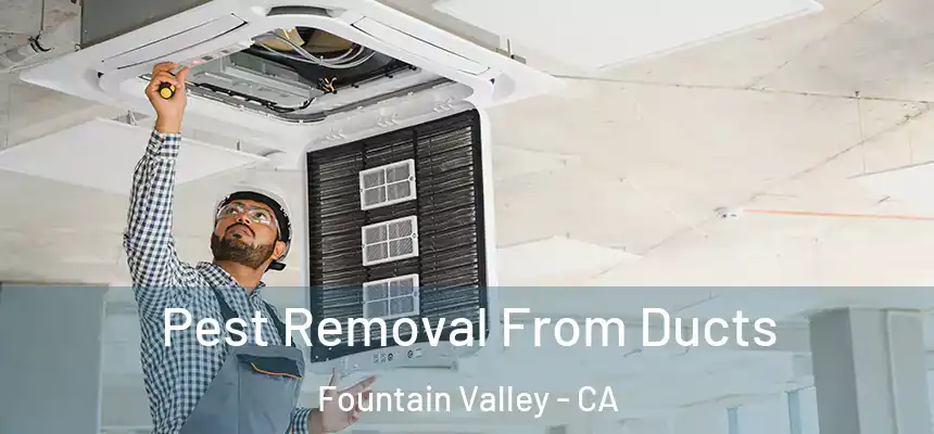 Pest Removal From Ducts Fountain Valley - CA