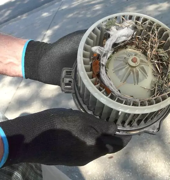 About Air Duct Mice Removal in Fountain Valley, CA