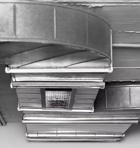 Professional Air Duct Pest Removal in Fountain Valley, CA