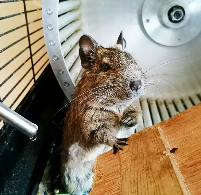 Why Homeowners & Businesses Trust Us Fountain Valley, CA?