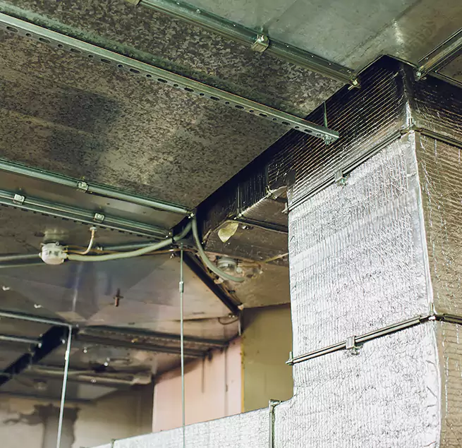 Why Homeowners & Businesses Trust Us in Fountain Valley, CA?